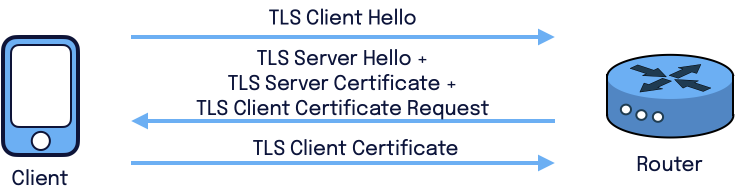 TLS - Server authentication